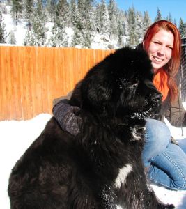 Truckee-Tahoe Pet Lodge photo