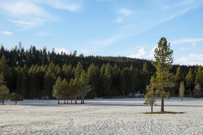 evo Hotel Tahoe City photo