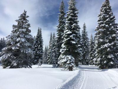Tahoe XC photo