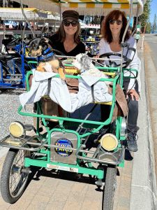 Tahoe Bike Company Surreys are fun with dogs too