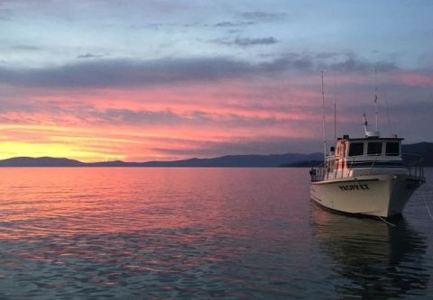 Tahoe Sport Fishing, Morning Public Fishing Trip