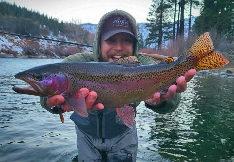 Trout Creek Outfitters, Pond & River Fly Fishing Packages
