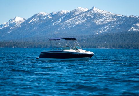 Sunnyside Water Sports, 24' Cobalt Boat Rental