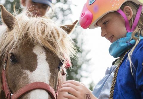 Tahoe Donner, Horseback Riding Lessons