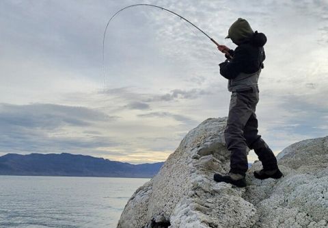 Trout Creek Outfitters, Guided Fly Fishing Trips at Pyramid Lake