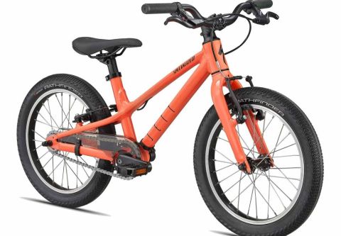 Flume Trail Mountain Bikes, Youth Bike Rentals