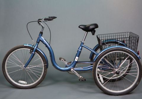 Anderson's Bicycle Rental, Adult Trike Rental