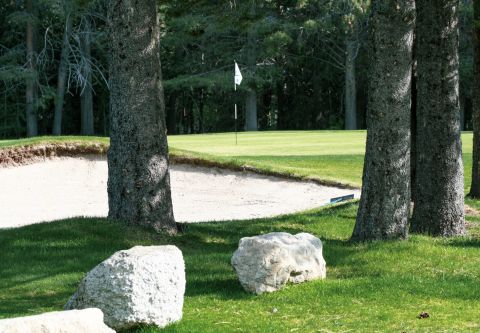 Lake Tahoe Golf Course, 18 Holes