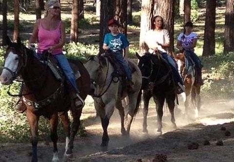 Zephyr Cove Stables, Family & Group Horseback Riding