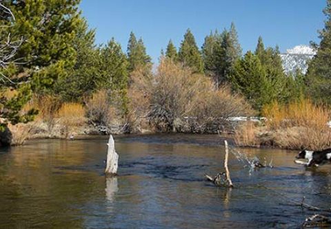 Sierra State Parks Foundation, Washoe Meadows State Park