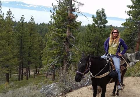 Zephyr Cove Stables, Lunch & Horseback Trail Rides
