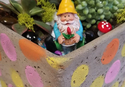 The Hot Spot Tahoe, Gnome & Fairy Gardens