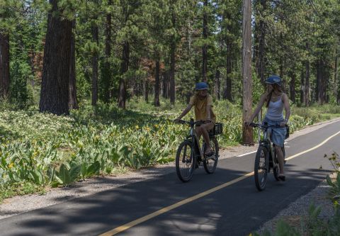 Sunnyside Marina & Watersports, E-Bike Rentals