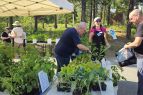 Tahoe City Downtown Association, High Elevation Gardening Series