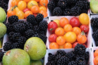 South Lake Tahoe Events, El Dorado County Certified Farmer's Market