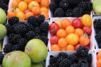 El Dorado County Certified Farmers’ Market Assoc, El Dorado County Certified Farmers' Market
