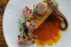 Christy Hill Lakeside Bistro, Octopus