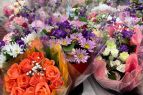Grocery Outlet Incline Village, Flowers