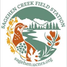 Sagehen Creek Field Station Sagehen Creek Field Station