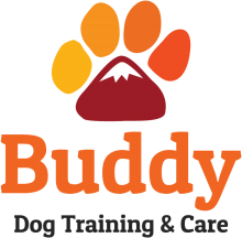 Buddy Dog Training and Care