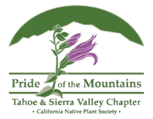 California Native Plant Society - Tahoe & Sierra Valley Chapter