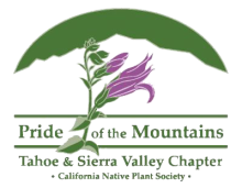 California Native Plant Society - Tahoe & Sierra Valley Chapter California Native Plant Society - Tahoe & Sierra Valley Chapter