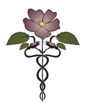 Wild Rose Medicine Wild Rose Medicine