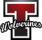 Logo for TEMPO