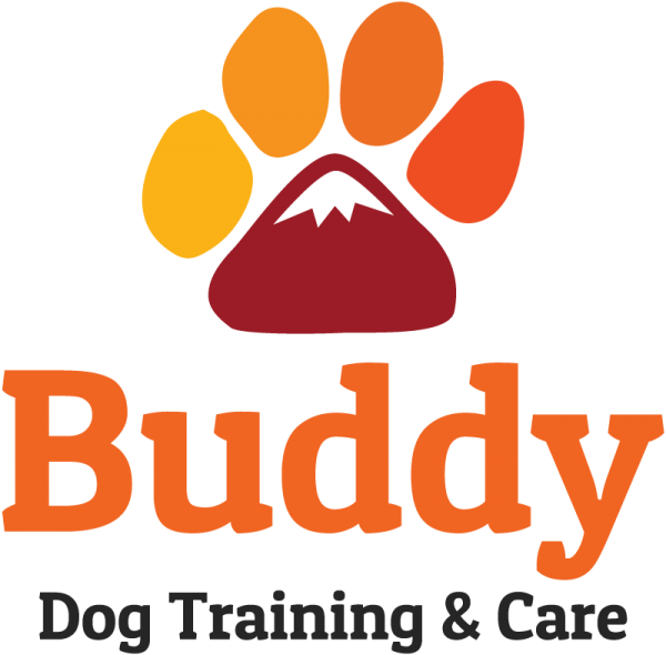 Buddy Dog Training and Care Lake Tahoe