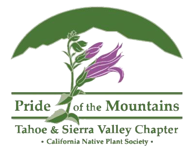 California Native Plant Society - Tahoe & Sierra Valley Chapter | Lake Tahoe