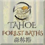 Tahoe Forest Baths Japanese Cedar Detox | Lake Tahoe Guide
