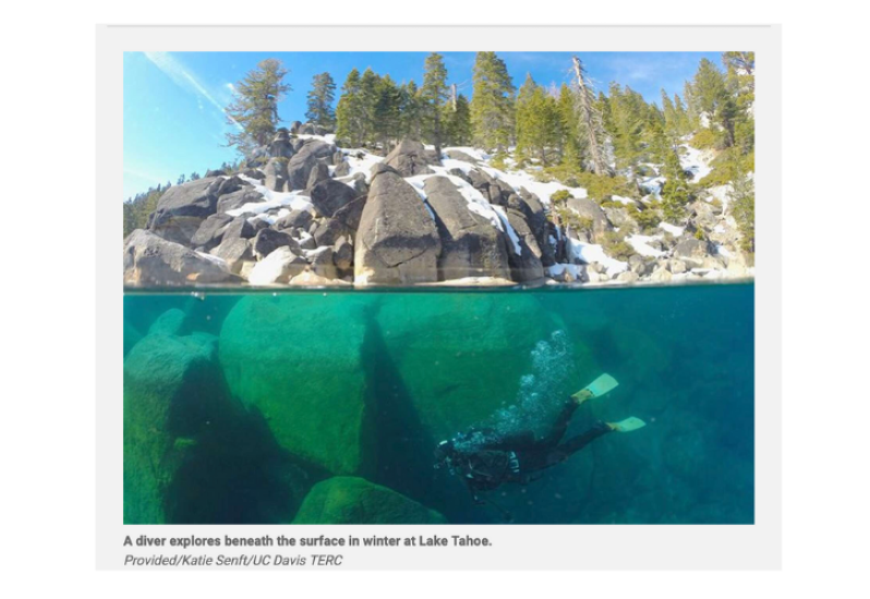 diver below the surface of lake tahoe 