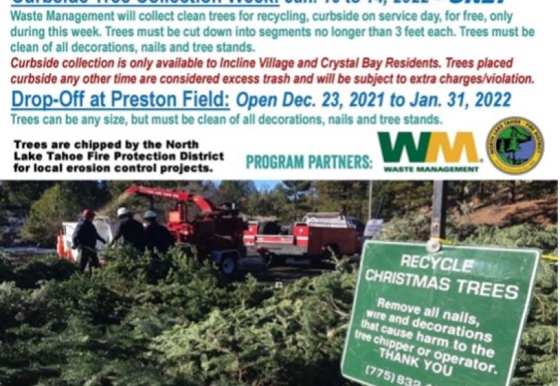 IVGID waste not flyer holiday tree recycling