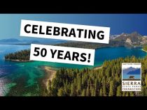 SSPF Golden Anniversary 