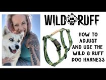 Dog Harness Instructions
