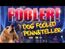 Dog Fools Penn & Teller!